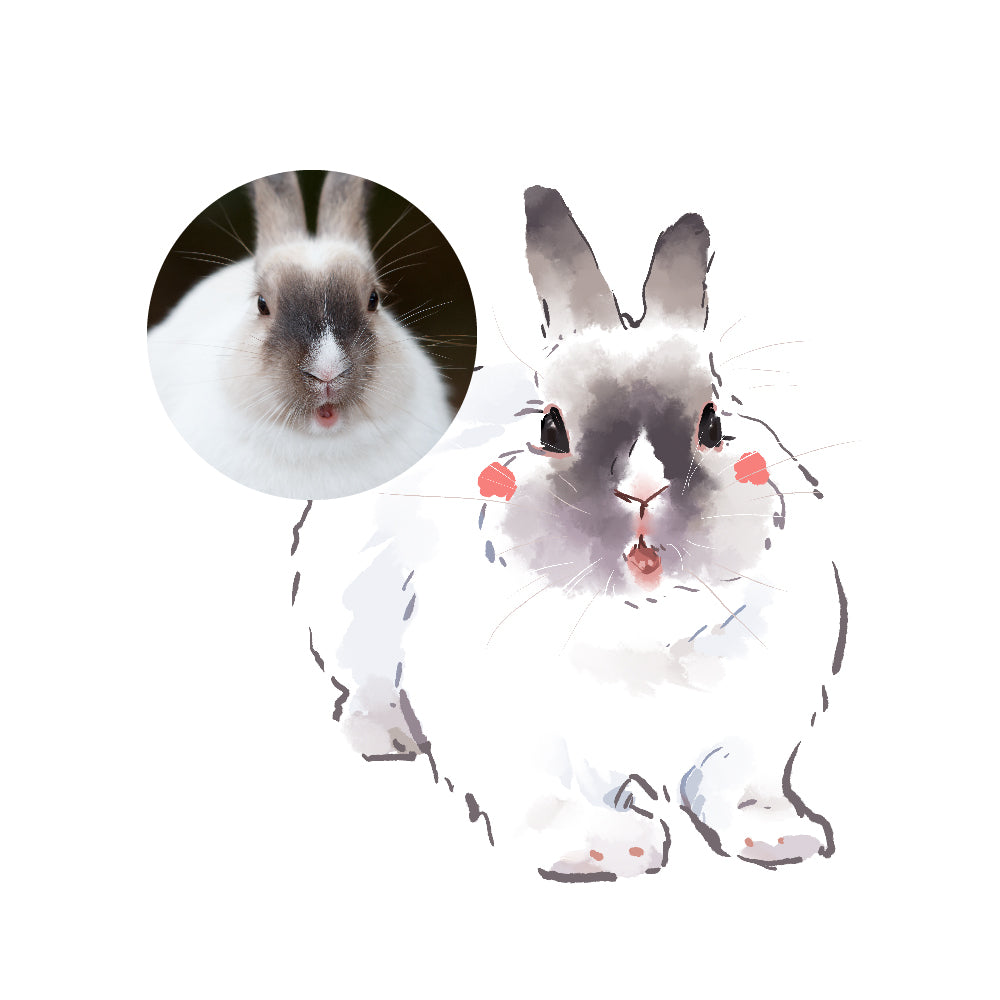 Add-on Portrait – with merch only