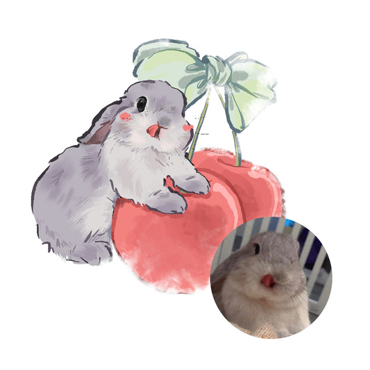 Add-on Portrait – with merch only