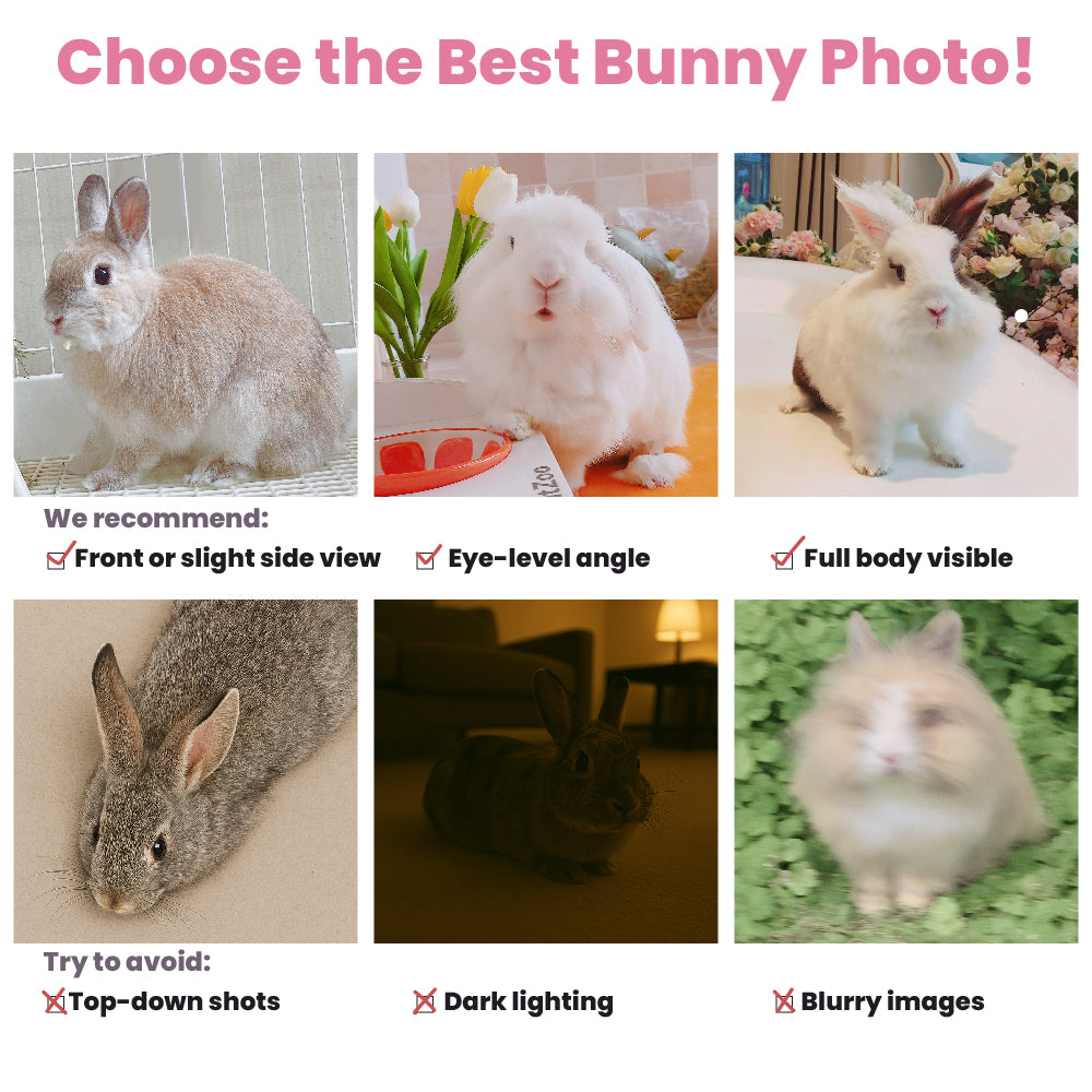 Add-on Portrait – with merch only